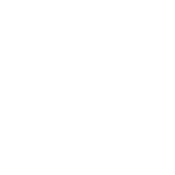 Fast Emergency Services